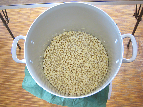 miso
