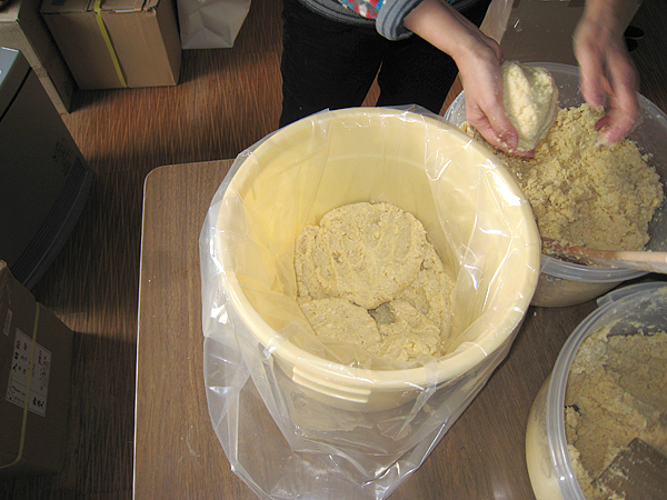 miso