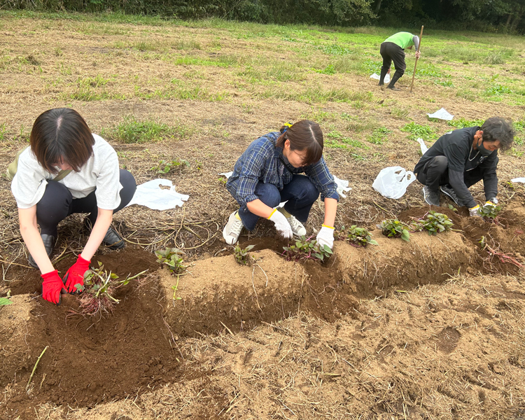 tcc-ivent_report251019_PH01