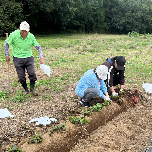 tcc-ivent_report251019_PH02