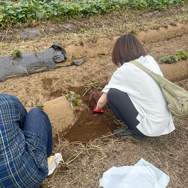 tcc-ivent_report251019_PH03