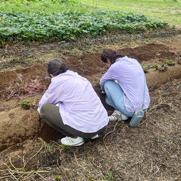 tcc-ivent_report251019_PH05