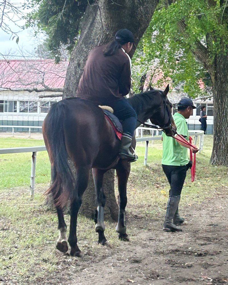 tcc-ivent_report251019_PH08