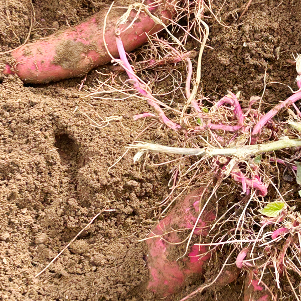 2025_autumn-eventreport1_PH09