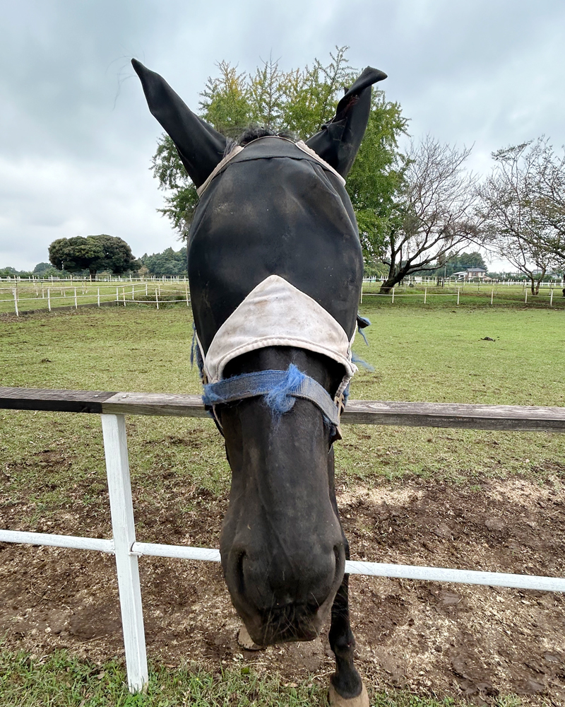 2025_autumn-eventreport1_PH10